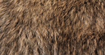 Imitation raccoon fur ESHP-115 