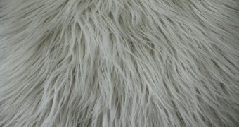 Curly fur ESHP-577-7 
