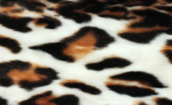 Imitation-animal-design-fur ESHP-045 