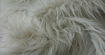 Curly fur ESHP-577-7 