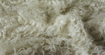 Curly fur ESHP-601 