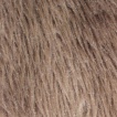 Curly-fur  ESHP-017-3 