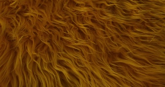 Curly fur ESHP-552-1 