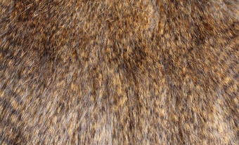 Imitation-pheasant-fur ESHP-572 