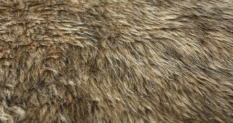 High pile fur ESHP-571-16 