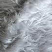 Curly-fur ESHP-544 