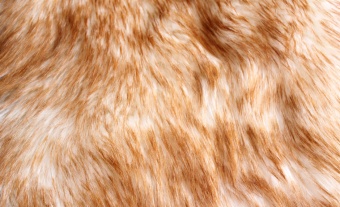 High pile fur  ESHP-528 