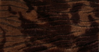 Embossing design fur ESHP-087 