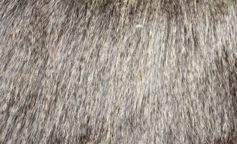 Imitation-pheasant-fur ESHP-583 