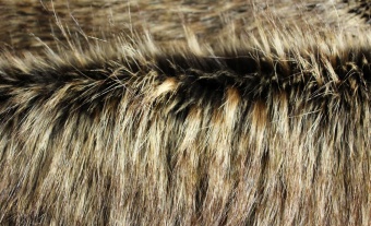 Imitation-raccoon-fur ESHP-255-2 